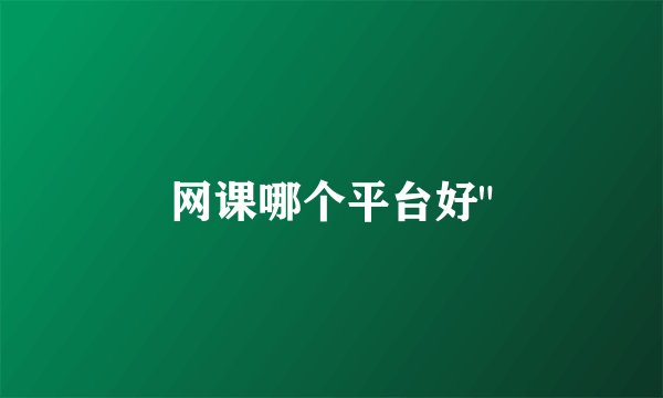 网课哪个平台好