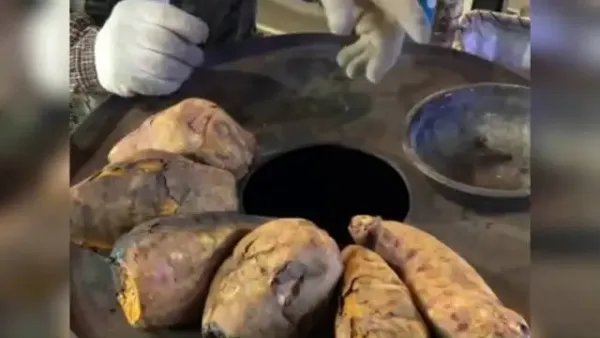 湖北女孩街头遇红薯刺客:称完18块,这种定价合理合规吗?