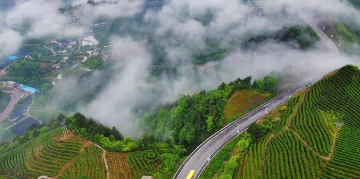 程莎莉回应不回农村养老，农村和城市你更喜欢哪里？