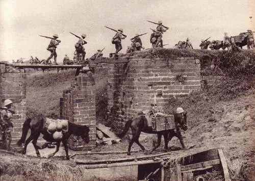 扫荡的意思是什么？