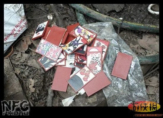 百年洪水来袭 澳洲玩家藏品惨遭洪水蹂躏(图)