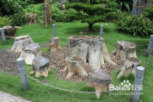 深圳仙湖植物园旅游攻略