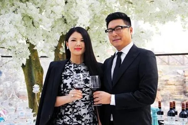 李湘自曝北京房产众多,王岳伦家庭地位低与这有关系吗?