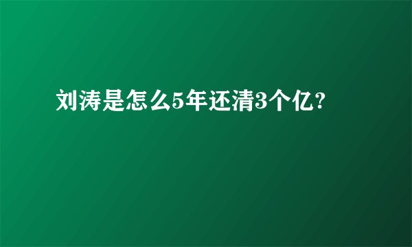 刘涛是怎么5年还清3个亿?