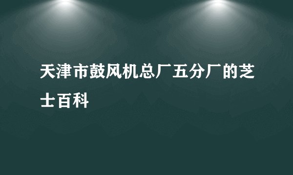 天津市鼓风机总厂五分厂的芝士百科