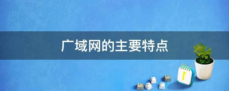 广域网的主要特点