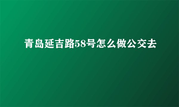 青岛延吉路58号怎么做公交去
