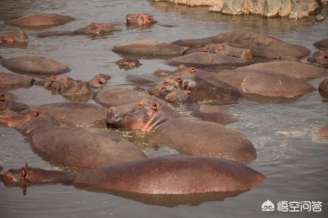 21世纪有哪些著名的旅行家？