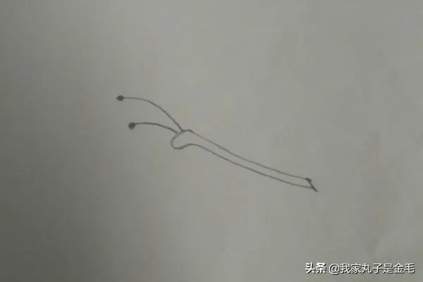 蝴蝶简笔画怎么画?