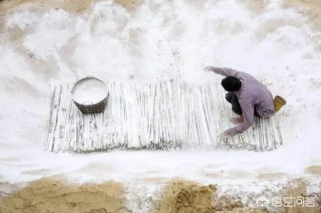 惊蛰是什么意思?