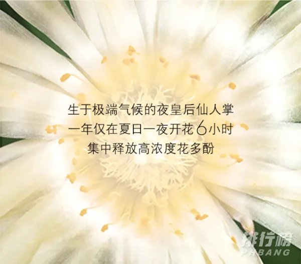 ysl夜皇后精华液成分分析_圣罗兰夜皇后精华功效