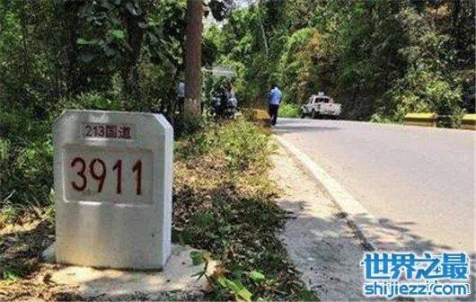 游客遭野象攻击，是去旅游还是去送命 