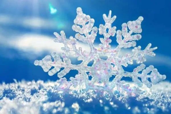 关于雪的诗有哪些？