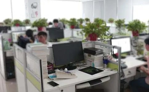 办公室个人年度工作总结