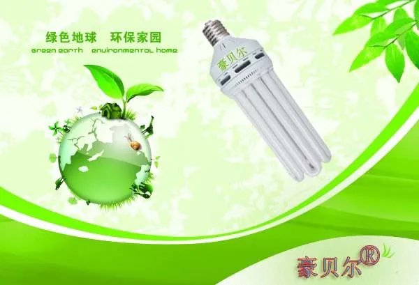 自己想开家LED节能灯组装的工厂，首次创业，手里没多少资金，请问给哪一个品牌的厂商做风险低，效益可