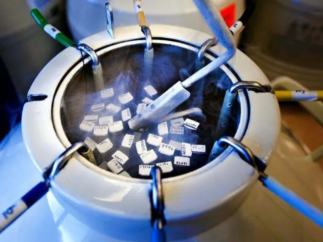 试管移植冻胚一次成功经验分享，重点还是心态好！