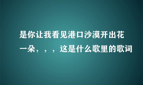 是你让我看见港口沙漠开出花一朵，，，这是什么歌里的歌词