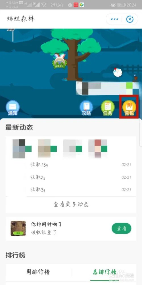 蚂蚁森林能量保护罩在哪里