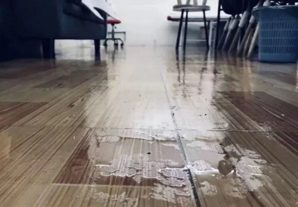 南方多地进入了回南天,回南天是一种怎样的体验?