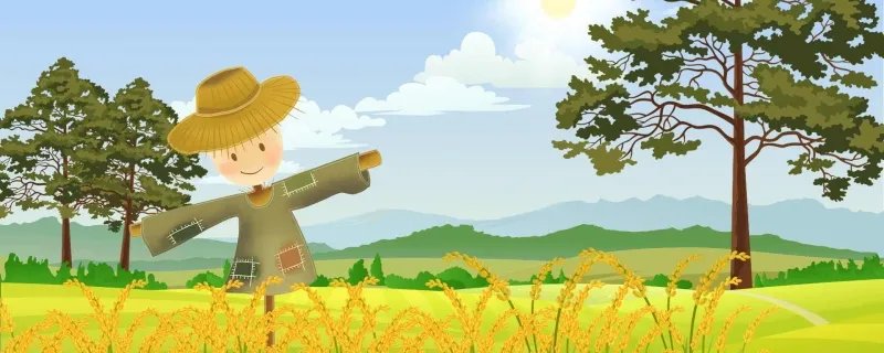 三伏天一般多少天