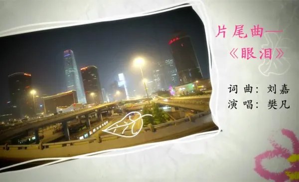 结婚前规则插曲