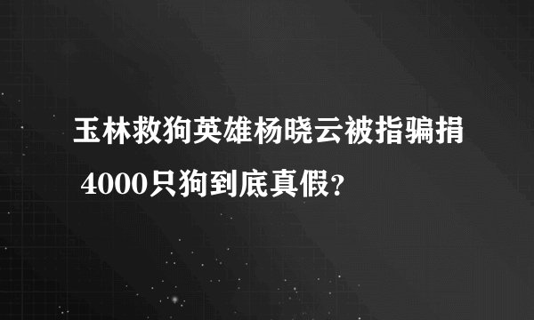 玉林救狗英雄杨晓云被指骗捐 4000只狗到底真假？