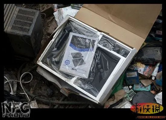 百年洪水来袭 澳洲玩家藏品惨遭洪水蹂躏(图)