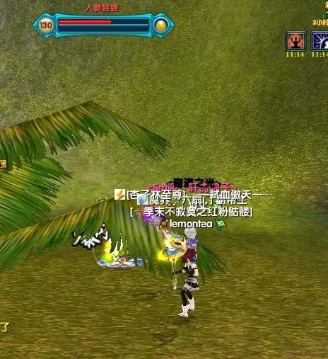 新武林外传人参娃娃的传说详解