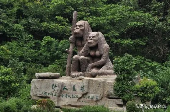 神农架野人照片真实吗？