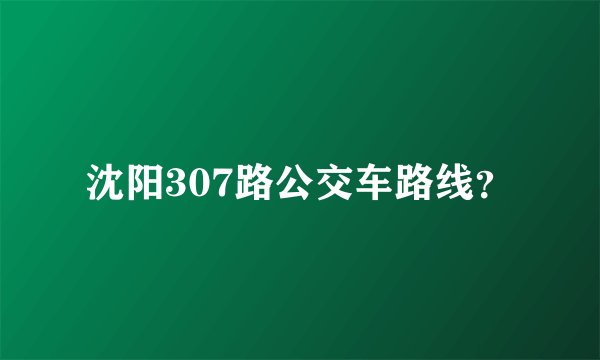 沈阳307路公交车路线？