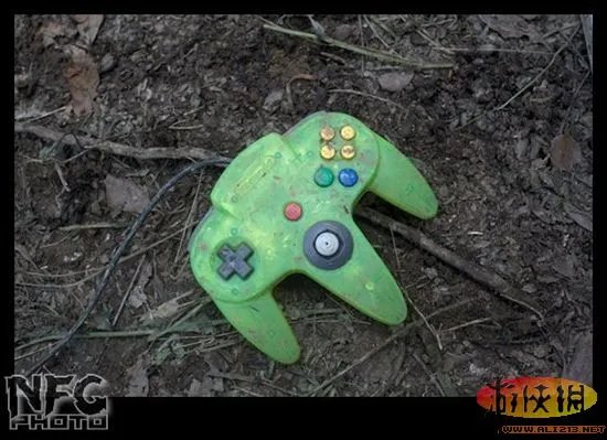 百年洪水来袭 澳洲玩家藏品惨遭洪水蹂躏(图)