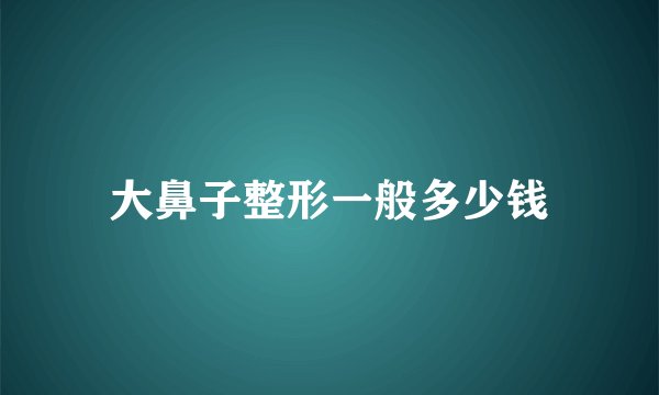 大鼻子整形一般多少钱