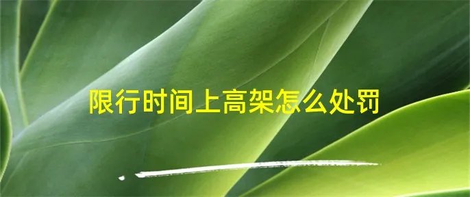 限行时间上高架怎么处罚