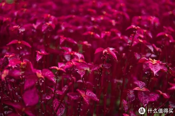 a6400开箱与三天使用体验 「多图预警!」