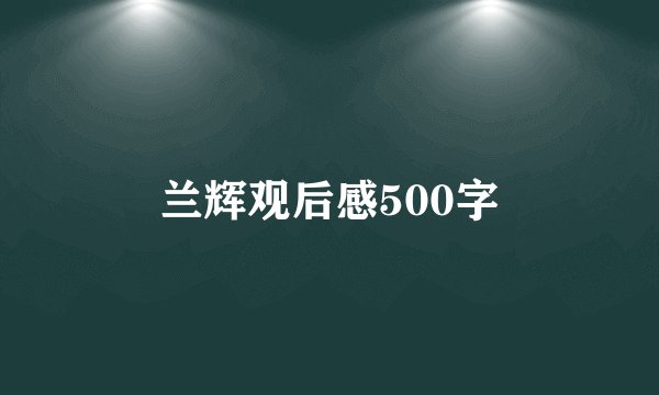 兰辉观后感500字