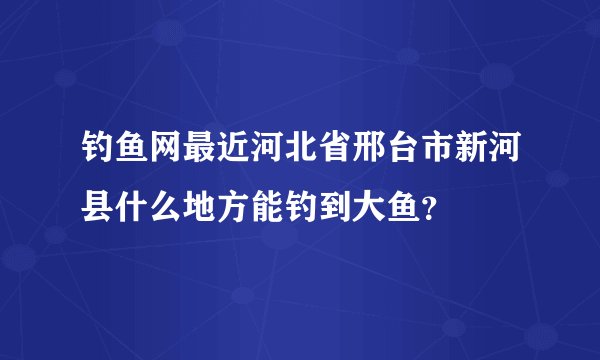 钓鱼网最近河北省邢台市新河县什么地方能钓到大鱼？