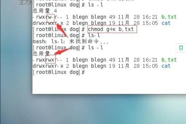 CHMOD命令怎么用？