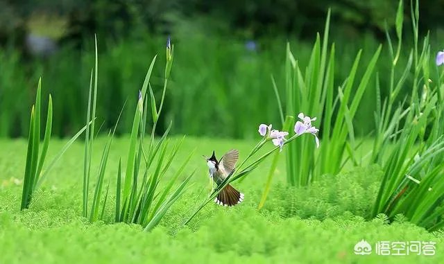 惊蛰是什么意思?