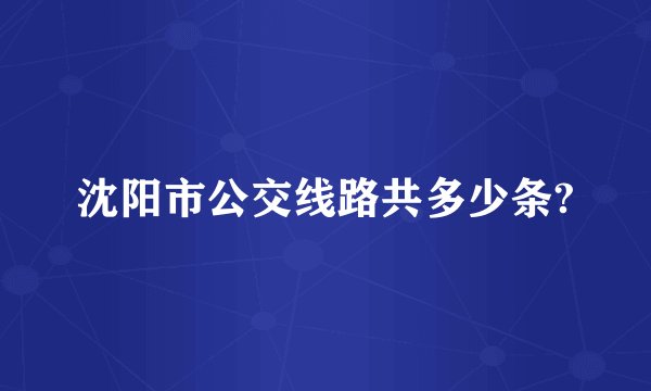 沈阳市公交线路共多少条?
