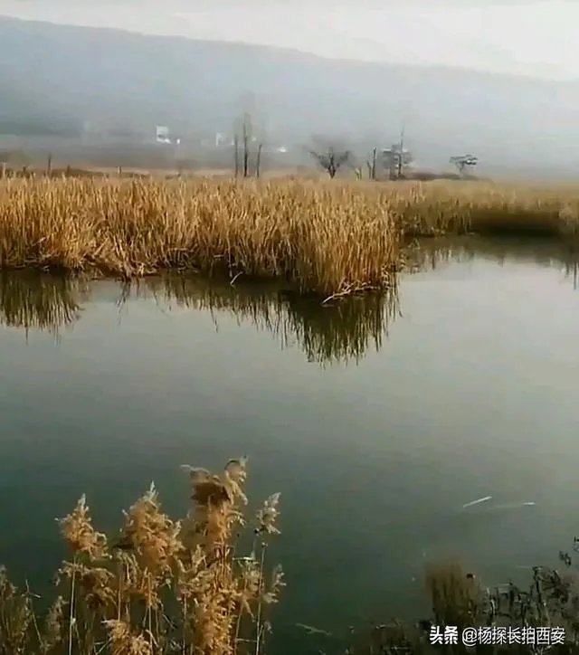 西安有哪些免费钓鱼的地方?