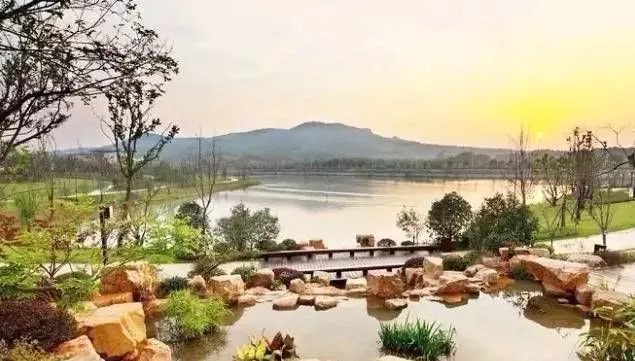 庭院里的这一方石头，历经千年，大有讲究