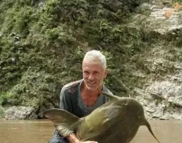 世界最大的鲶鱼都有哪些？