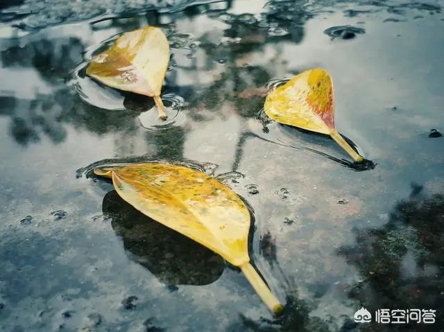 阴雨天如何拍出好照片?