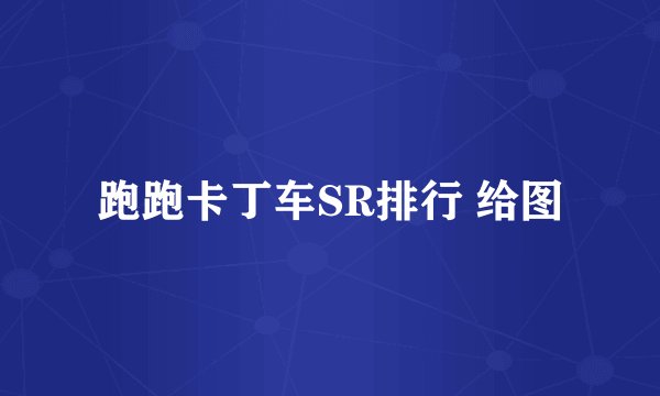 跑跑卡丁车SR排行 给图