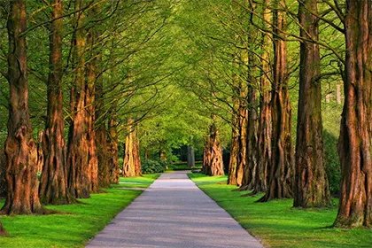 闰四月是什么意思？2022年有没有闰四月？