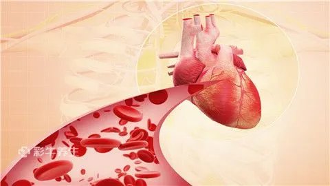 血脂高是什么原因引起的