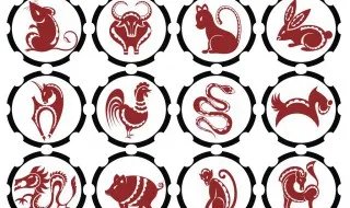 视而不见是什么生肖      视而不见是哪个生肖