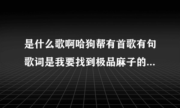 是什么歌啊哈狗帮有首歌有句歌词是我要找到极品麻子的集散地？