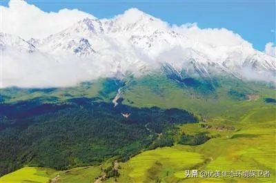 青海祁连山再次出现环境破坏事件，为什么还有人顶风作案？