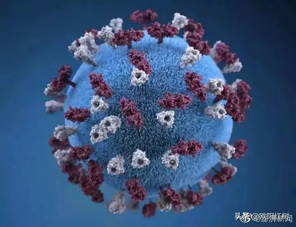 截止二月十一日的时候，当时青海省的疫情好转了吗，你怎么看？